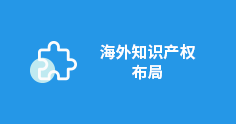 海外知识产权布局