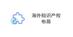 海外知识产权布局