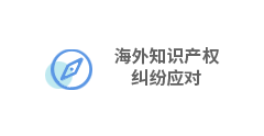 海外知识产权纠纷应对